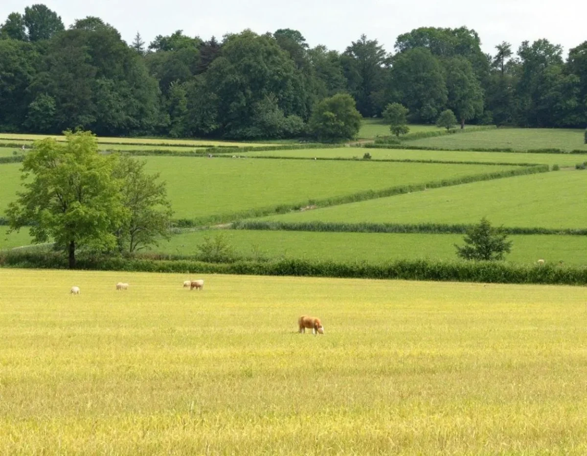 L'Assurance Multirisque Agricole : Protection Complète pour les Exploitants Agricoles Face aux Aléas